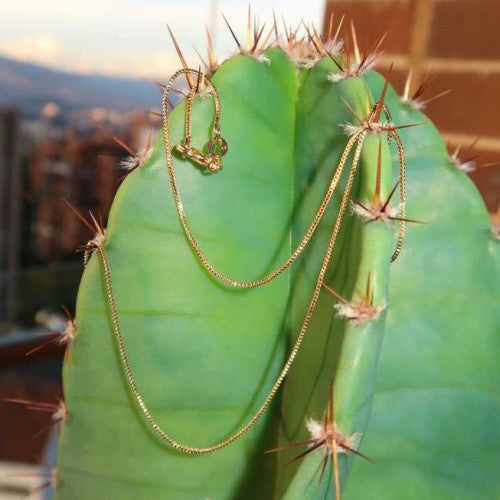 cadena oro aurux veneziana 60 cm