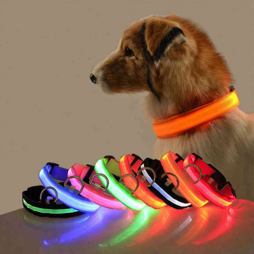 Collar con Iluminación LED para Mascotas – Seguridad y Visibilidad en Diferentes Colores y Tallas
