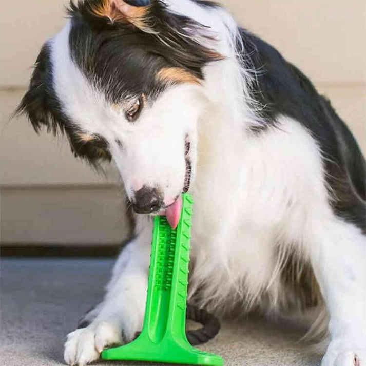 Cepillo Dental Canino Woof Toothbrush