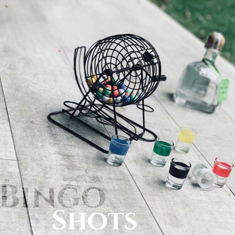 Bingo Para Beber Shots Juego De Fiesta Ruleta Drinking