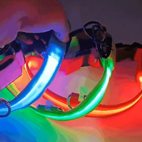 Collar con Iluminación LED para Mascotas | Collar de Seguridad Anti Perdida