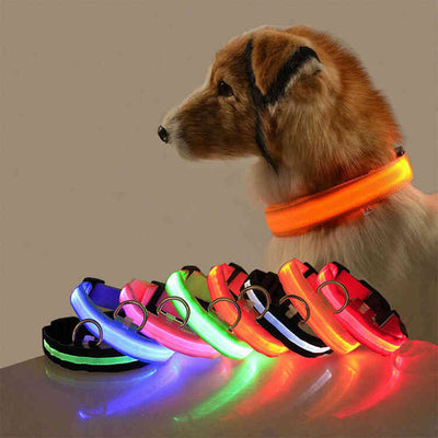 Collar con Iluminación LED para Mascotas | Collar de Seguridad Anti Perdida