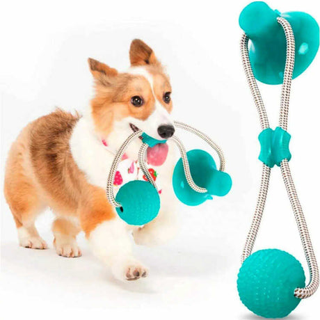Juguete de Cuerda con Ventosa y Pelota para Perros