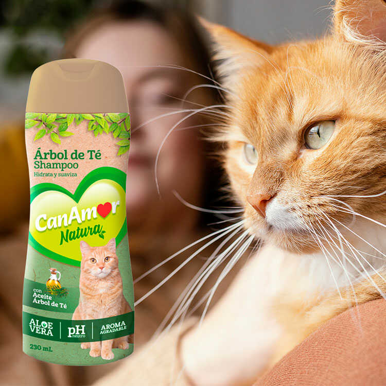 Dhermus shampoo e condicionador natural para cachorros e gatos