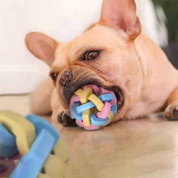 Pelota con discount cascabel para perros