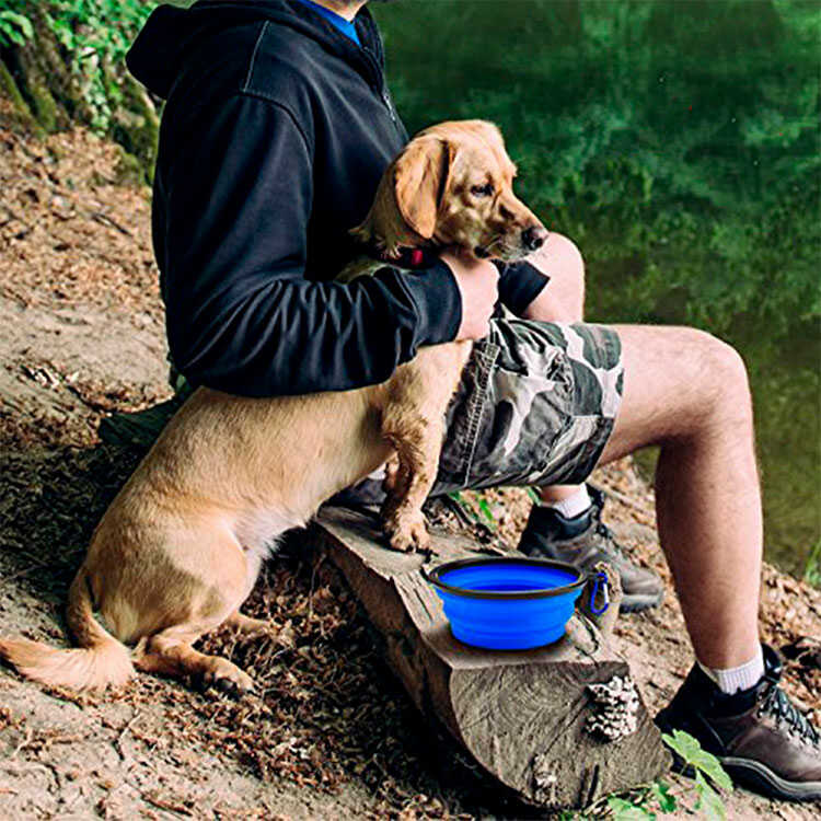 Compre Doe Pet Walking Senderismo Accesorios Para Perros De Viaje
